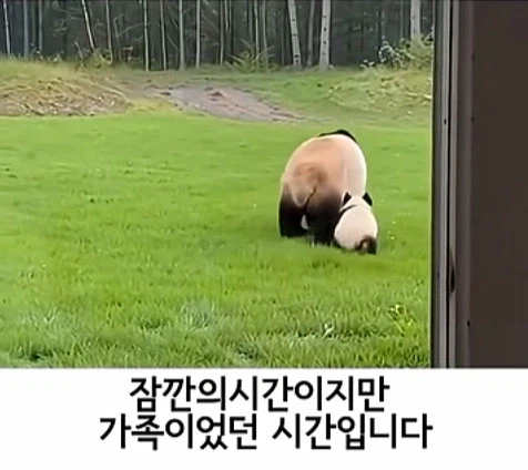 유튜브 쇼츠 AI 뇌절 대잔치 (12)