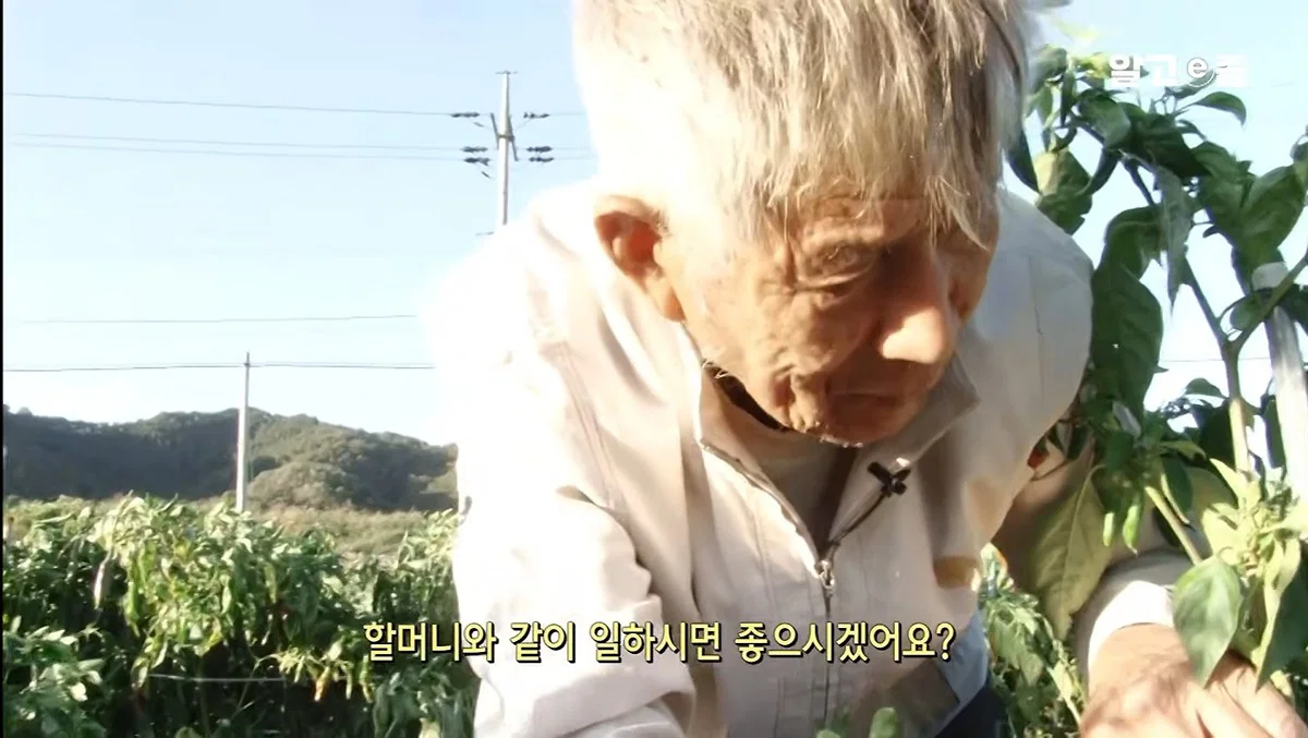 역시 사랑받는 여자는 티가난다 할머니 표정이 처음부터 끝까지 밝으시네 (10)
