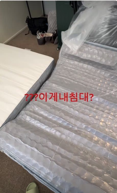 아일릿 원희 닮은07년생 한국여자 거친 호주에서  살아남기. ㄷㄷ (9)