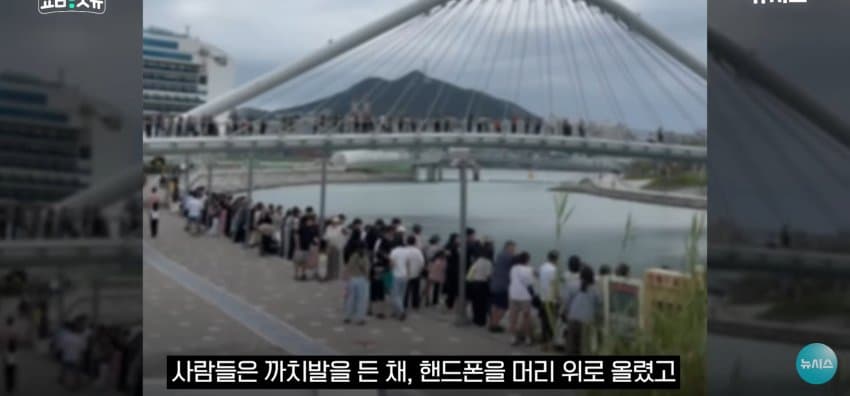 상어 한마리에 3만명 몰려, 부산 명소가 된 북항 (29)
