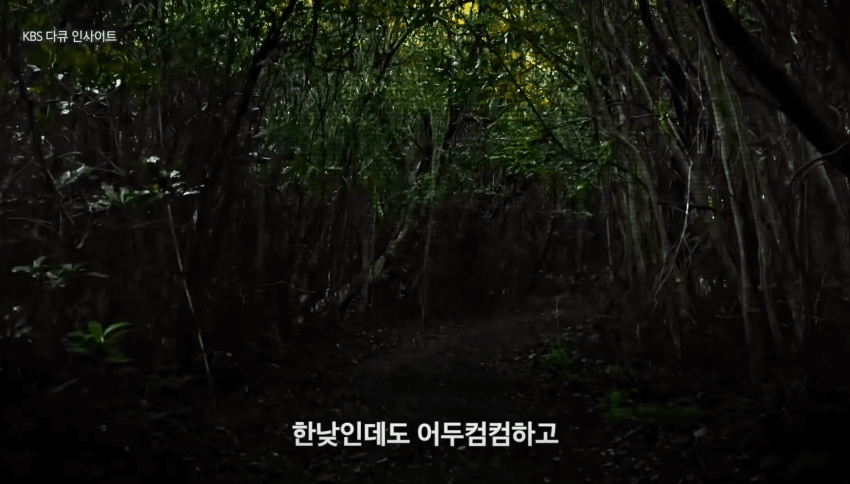 깜짝 .. 일본숲이 유독 무서운 이유 ㄹㅇ . (4)