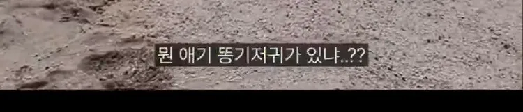 한국인 없는 제주 우도 근황