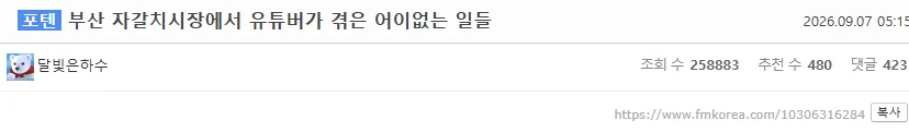 펨코 렉카 달빛 은하수 내 글 그만 퍼가라고 ㅡㅡ (15)