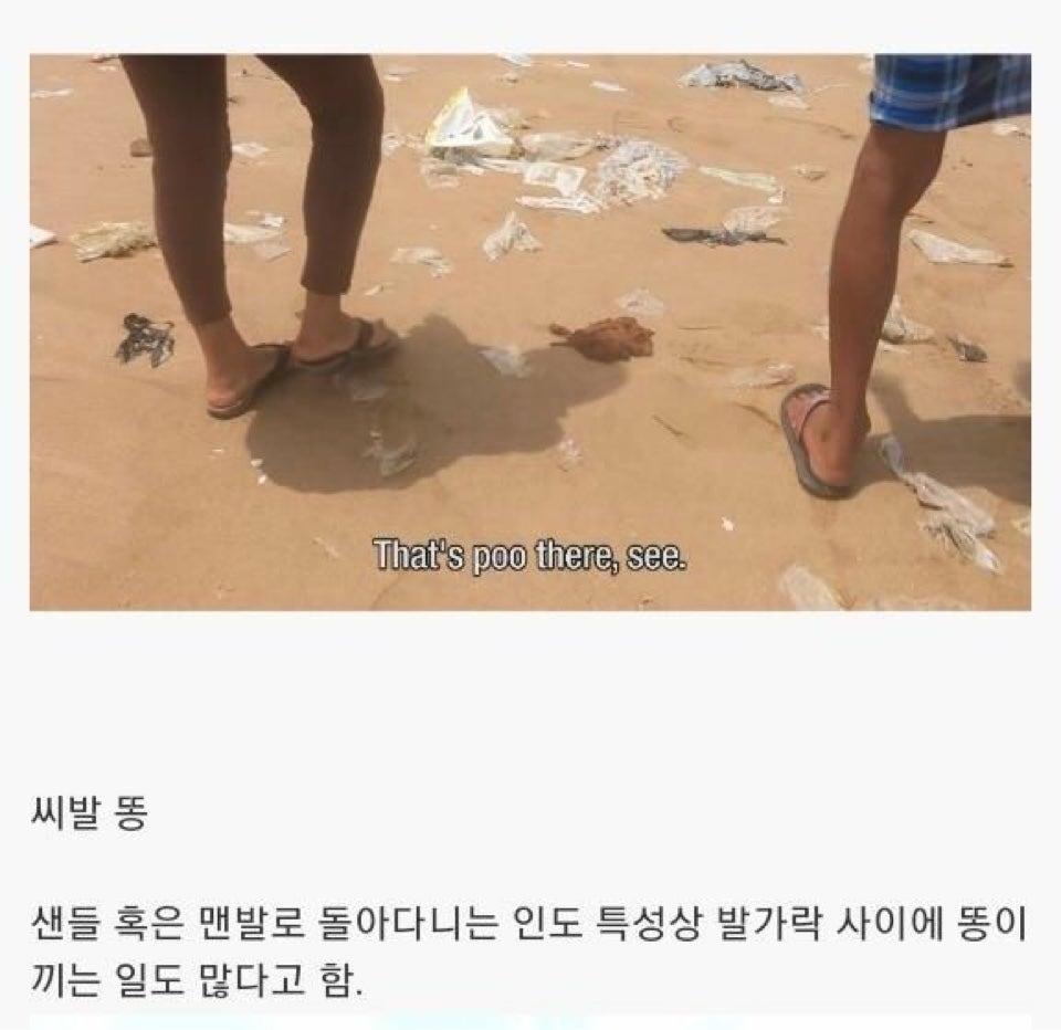 인도의 거대 화장실 (8)