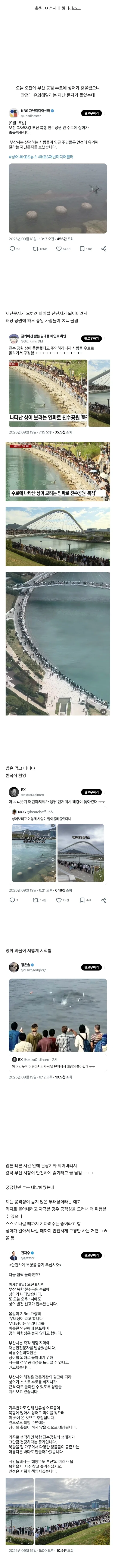 상어 출몰했다고 말 안듣는 부산시민들 덕에 결국 직접 등판한 부산 시장.twt
