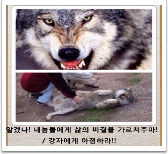 트릭컬)스포) 감각 하나만으로 새로운 세계수를 눈치챈 엘프 (19)