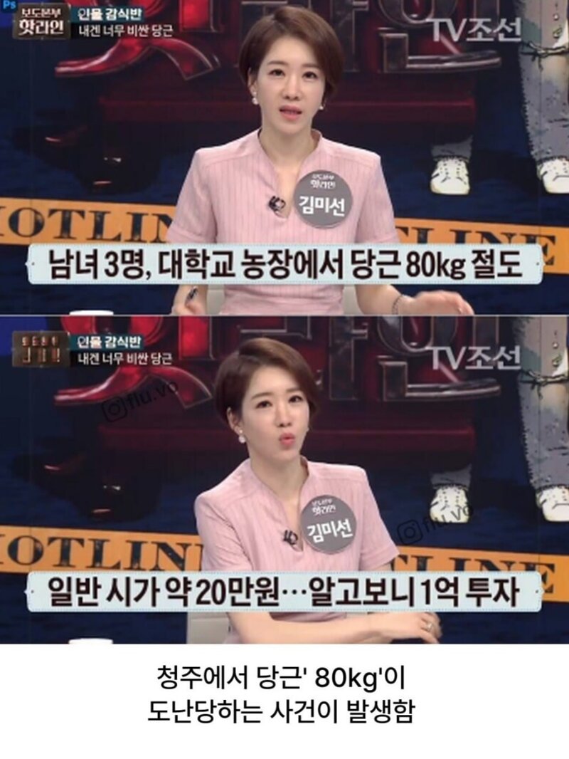 고기구워먹는다고 연구용 당근 몽땅캐간 지역주민들