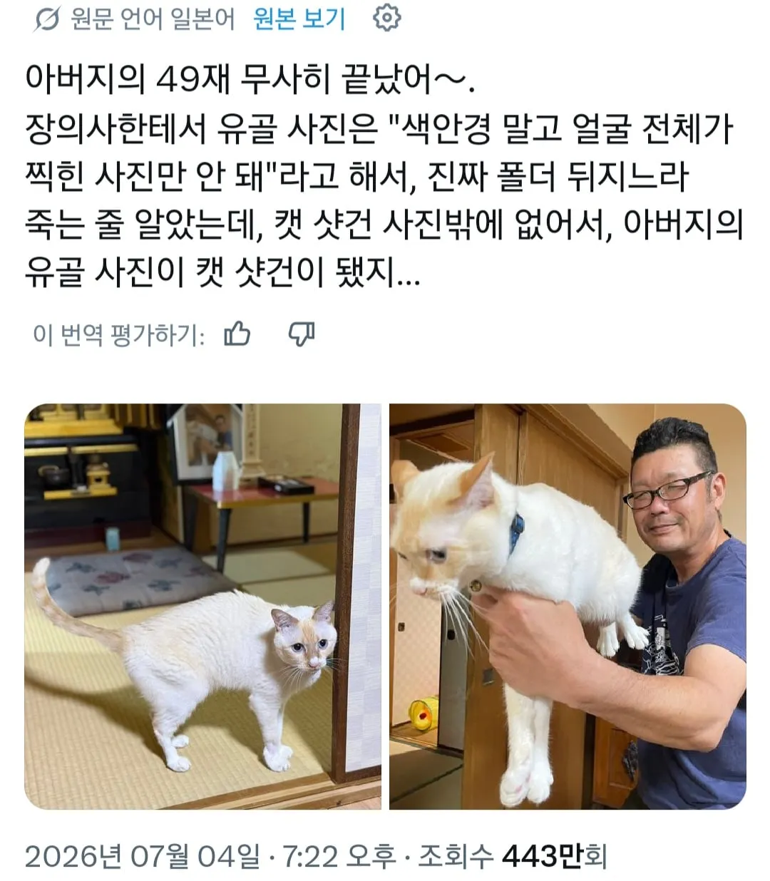 아버지 영정사진으로 고른 떼껄룩 샷