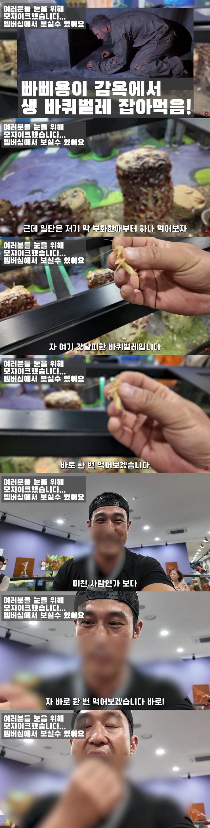 혐주의) 와들와들 설국열차 양갱 만들어 먹었던 유튜버 근황... (3)