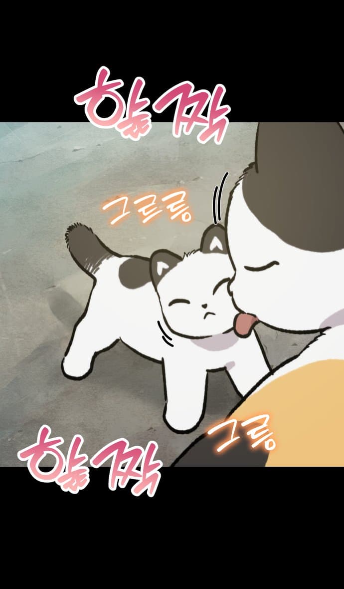 고양이 찬양 하는 만화 (30)