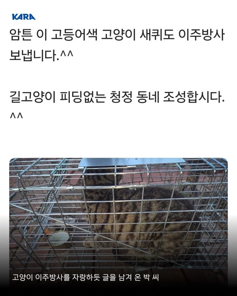 길고양이 갯벌에 무단 방사해서 익사시키고 캣맘 조롱한 남성 동물학대죄 인정 받음 (6)