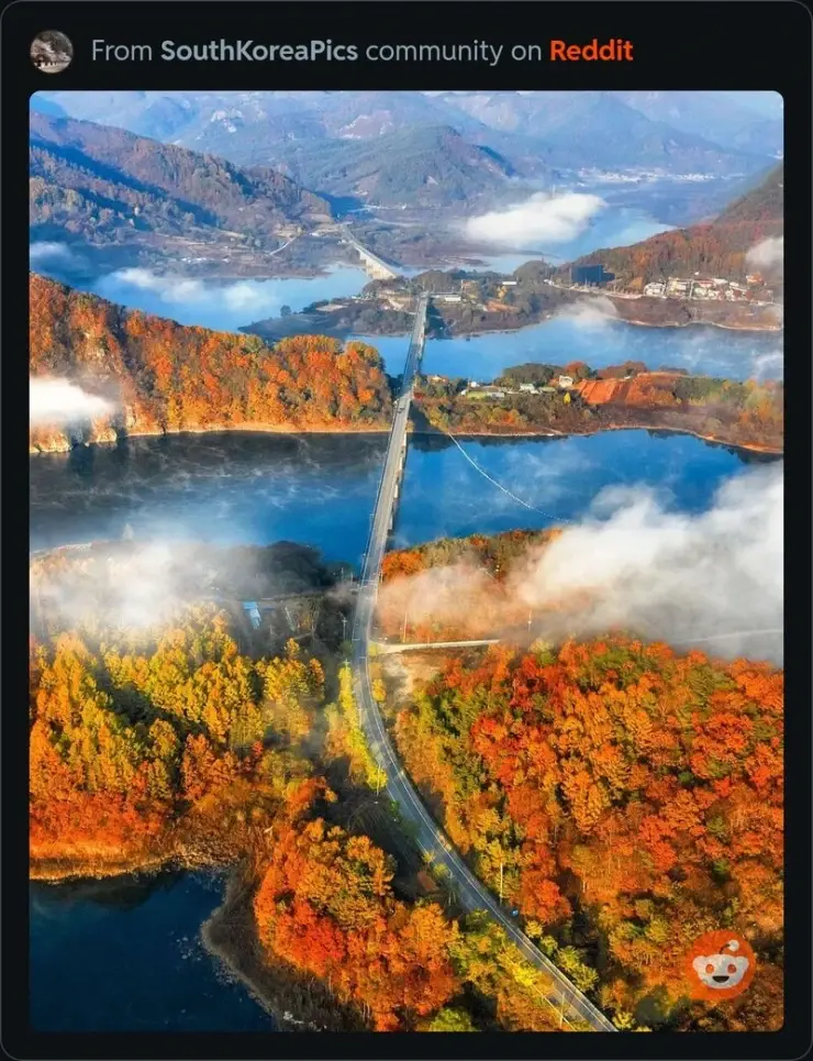해외 사이트에 올라 온 한국의 풍경.