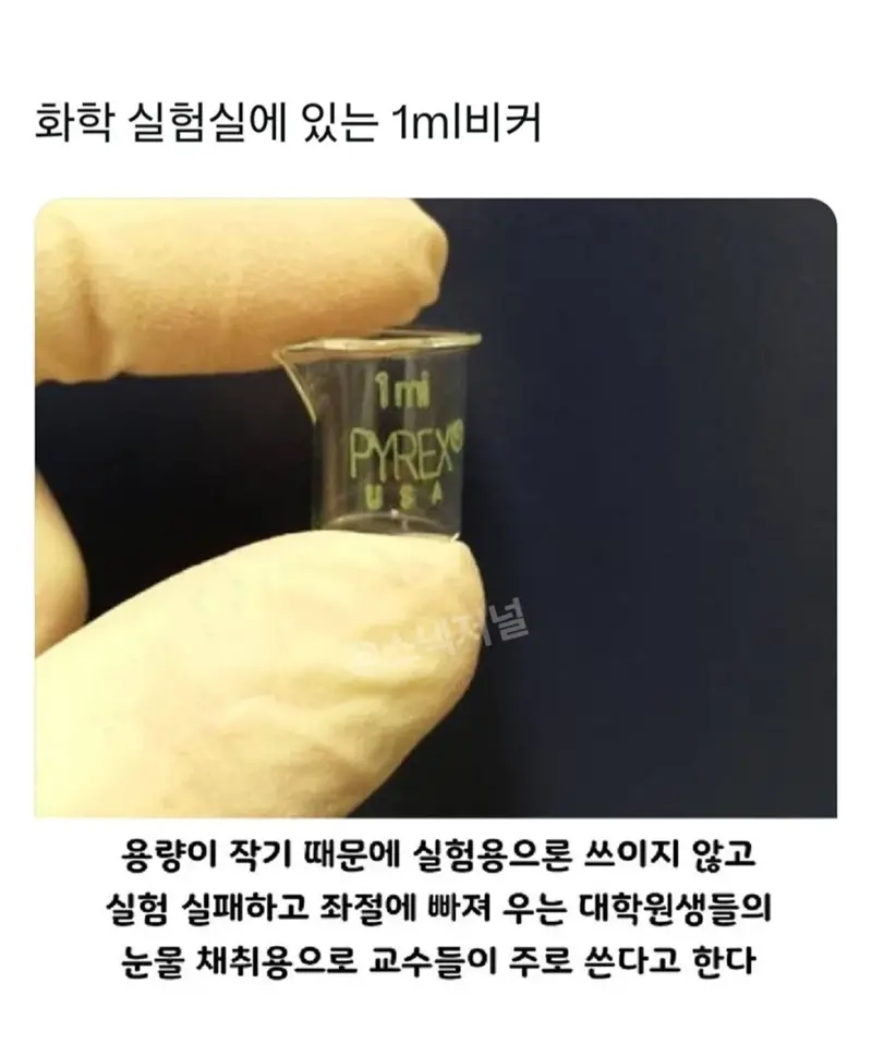 1ml 비커