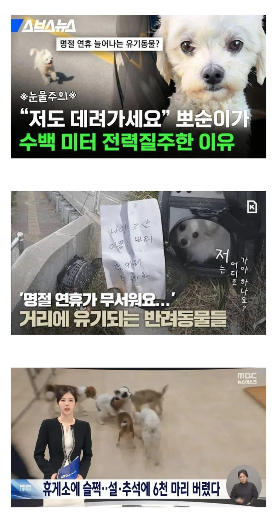 명절 연휴에 폭증하는 대참사.