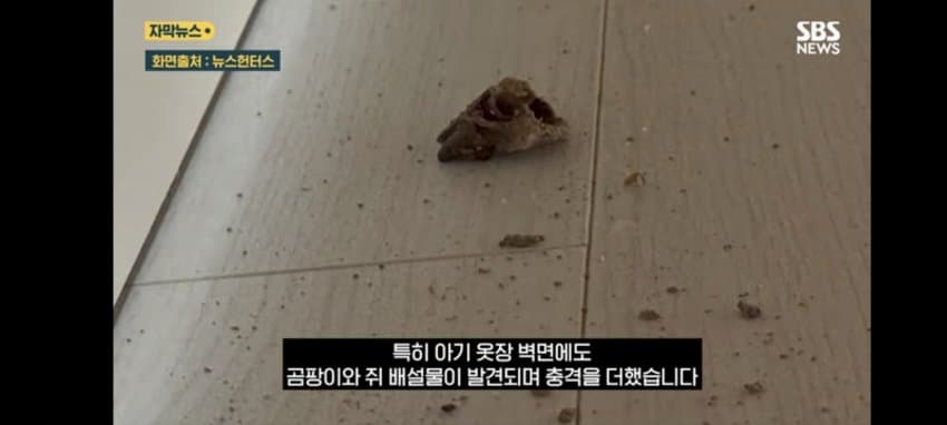 보관이사 맡겼다가 곰팡이, 벌레로 가구 다 망가진 제보자 (10)