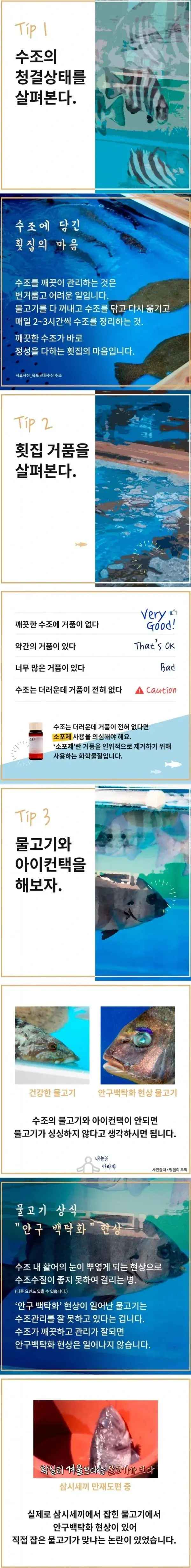 싱싱한 회고르는 꿀팁