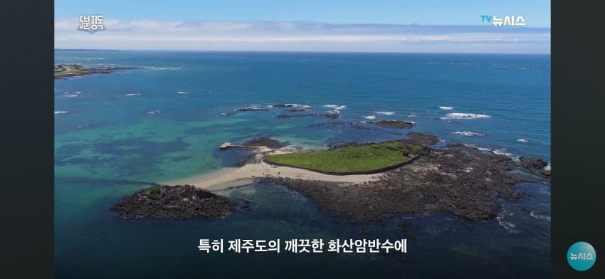 국내 1위 맥주기업이 소주 출시.. jpg (4)