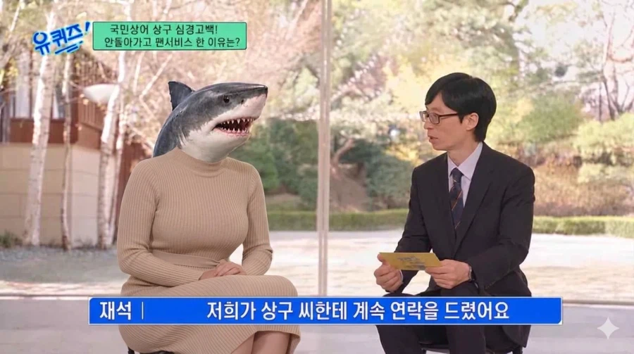 부산상어 다음행보