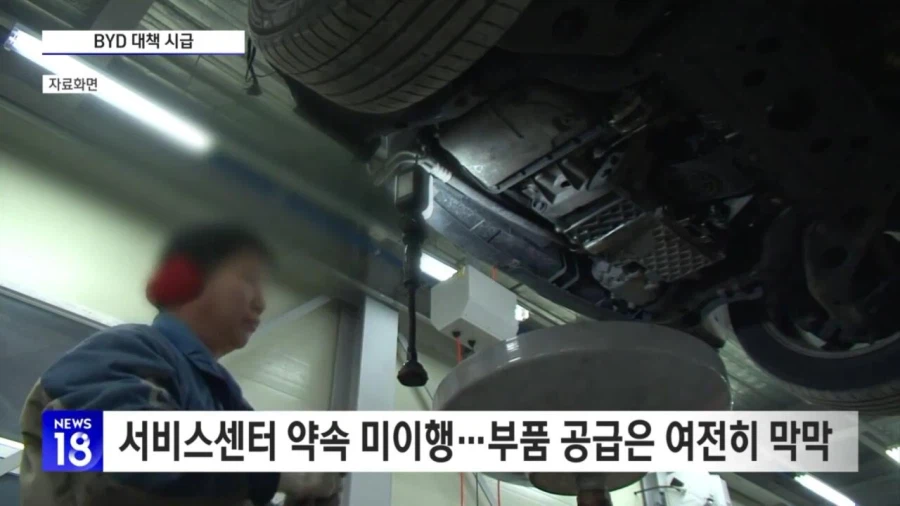 대환장 BYD 근황 (6)