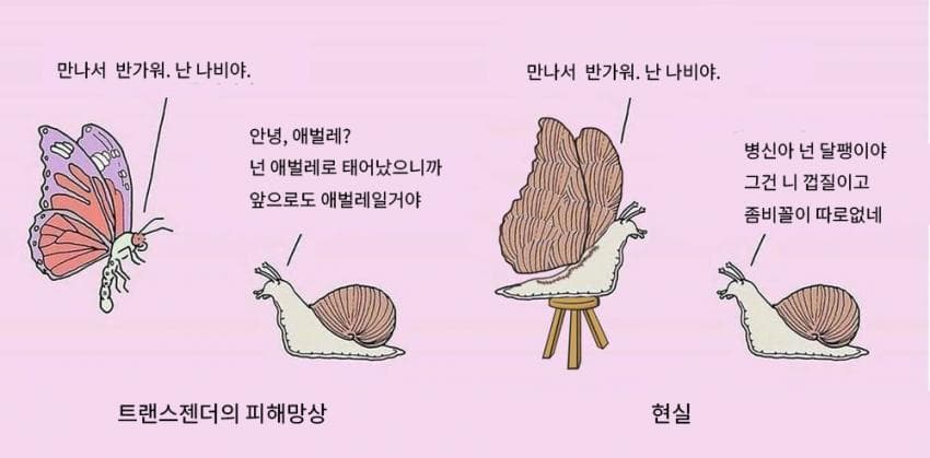 (번역) 사회적으로 올바르지 않은 해외 밈 모음