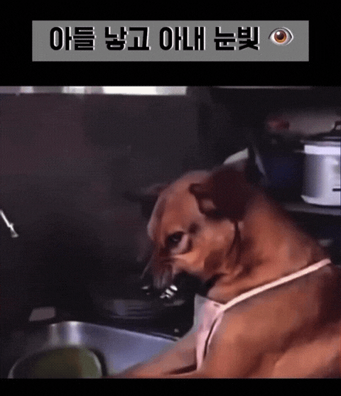 연애시절 너무나 사랑스러웠던 아내의 미소 (3)