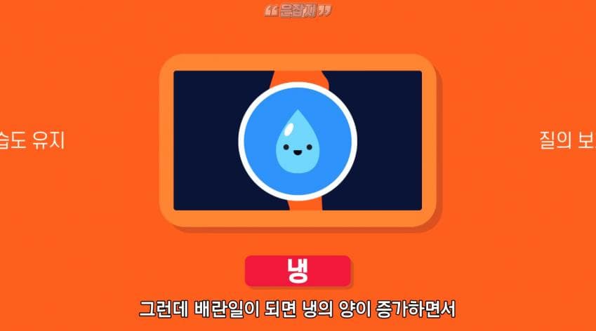 남자들은 잘 모르는 냉 이라는 것에 대하여 (18)