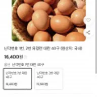 난각번호 1번 대란