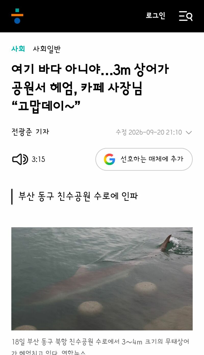 앞으로 롯데는 자이언츠가 아니라 샤크다. (6)
