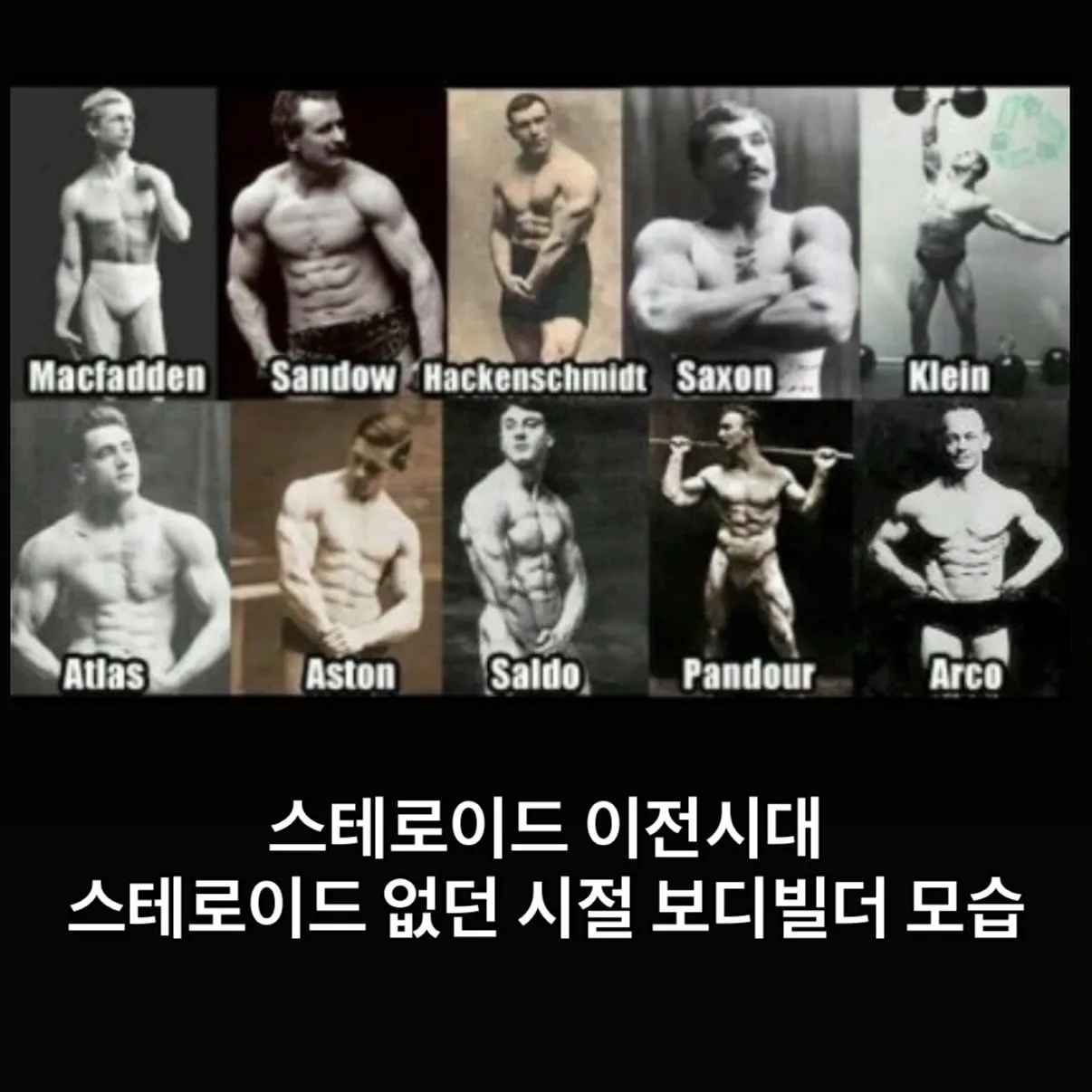 사실상 약물없이 만들 수 있는 몸의 한계치.jpg