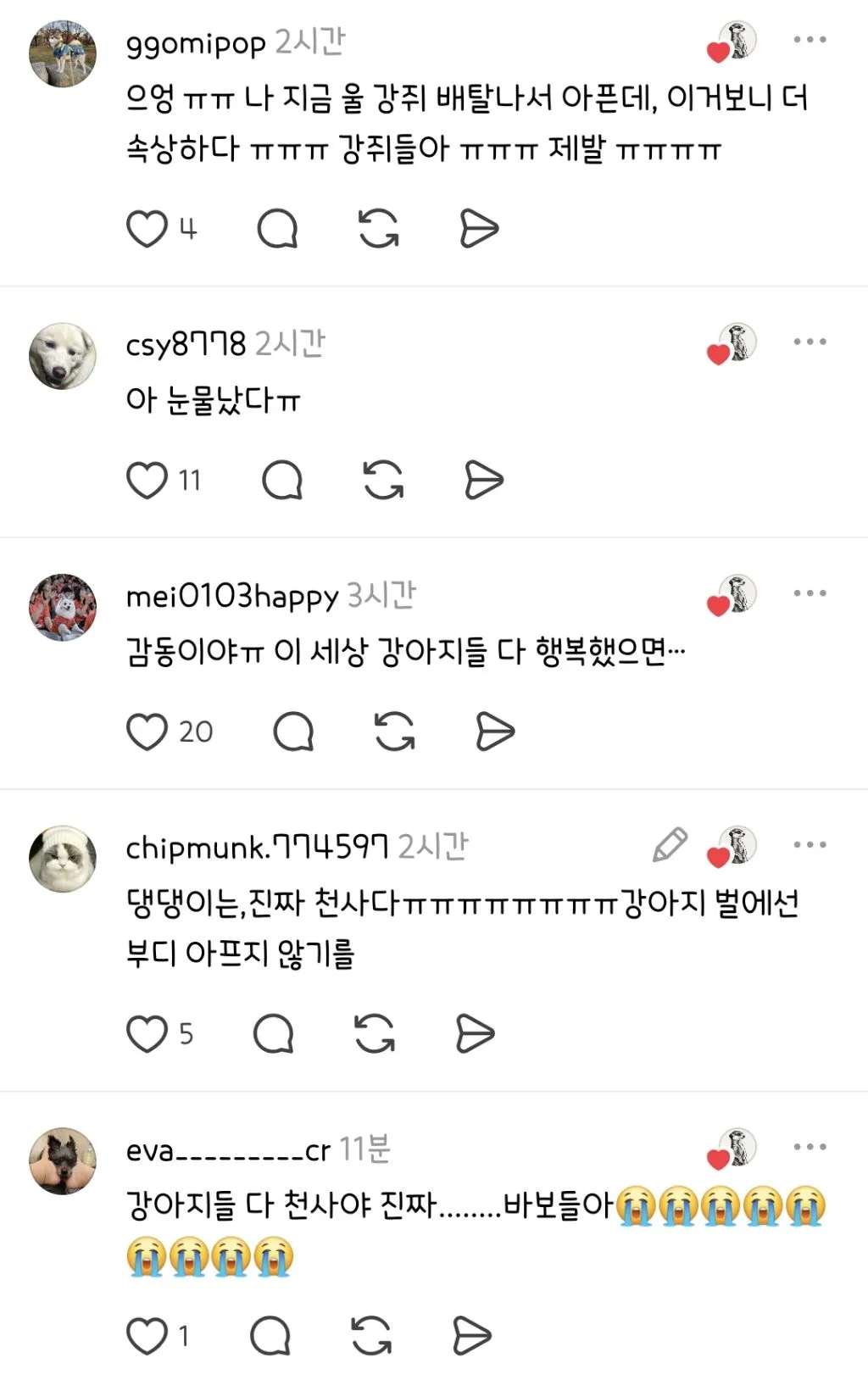 화재현장에서 사람가족들 구하고 무지개다리 건넌 강아지