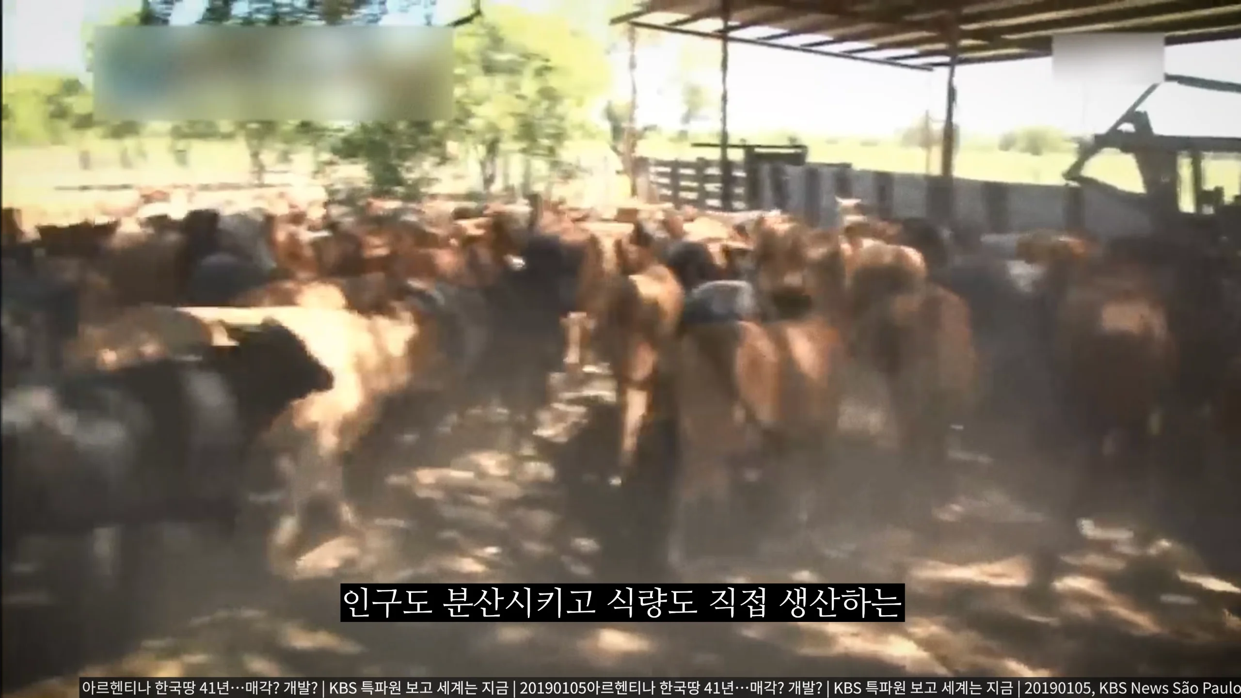 의외로 전쟁나고 패배시 최후의 도피처로 가능한땅 (7)