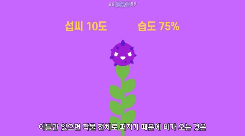 인구가 절반으로 줄어든 사연 (21)