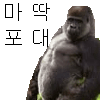 마포해