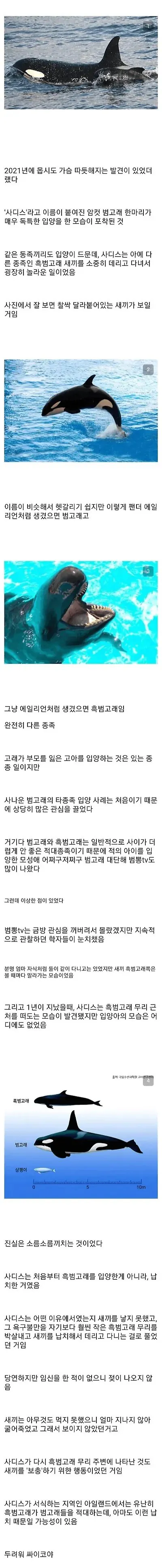trykFl