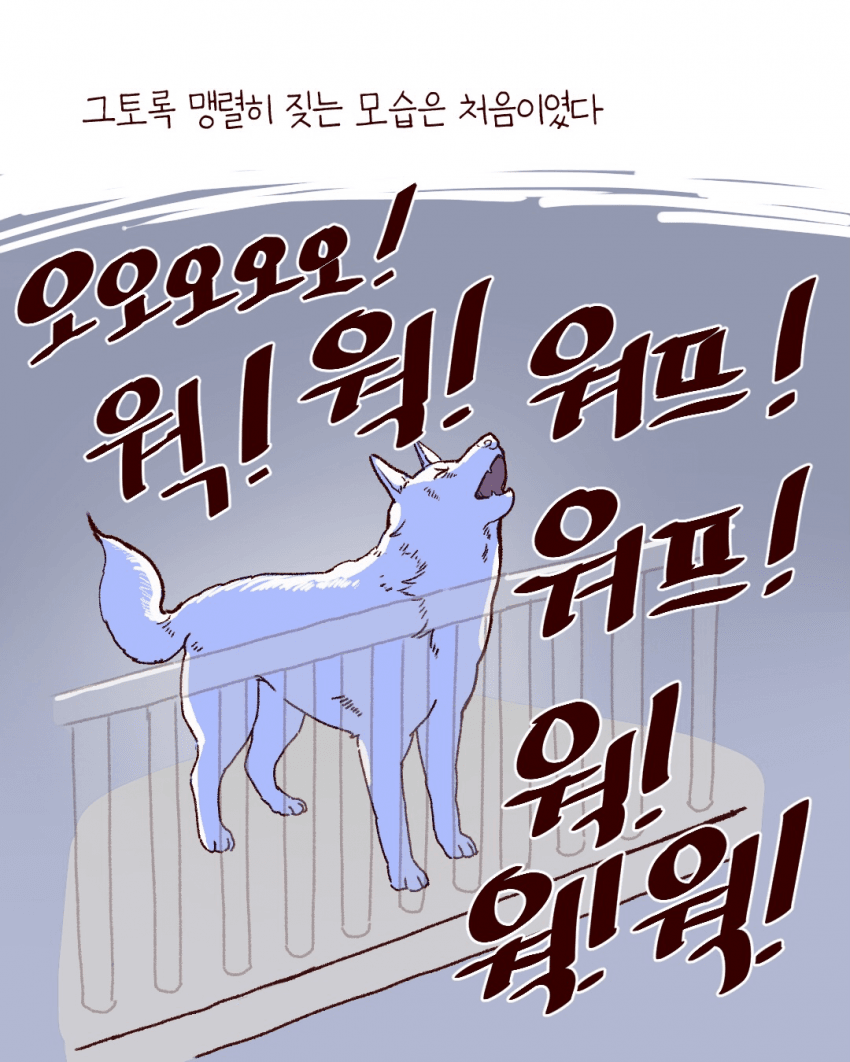 싱글벙글 우리동네 용감한 백구 이야기 (14)