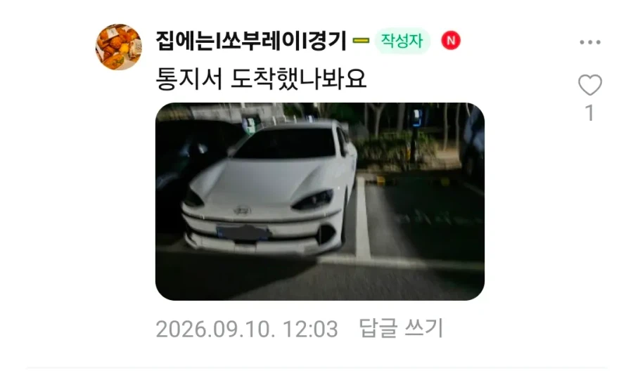 지 옆에 주차 못하게 막는 ㅁㅊㅅㄲ (4)