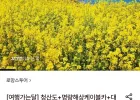 청산도 진도 해남 1박2일(롯카/국카)