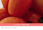 스테비아 토망고 500g 4팩