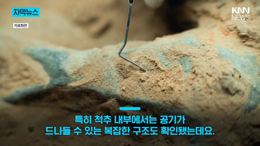 공사장에서 1억 년 전 초대형 공룡 발견 (13)