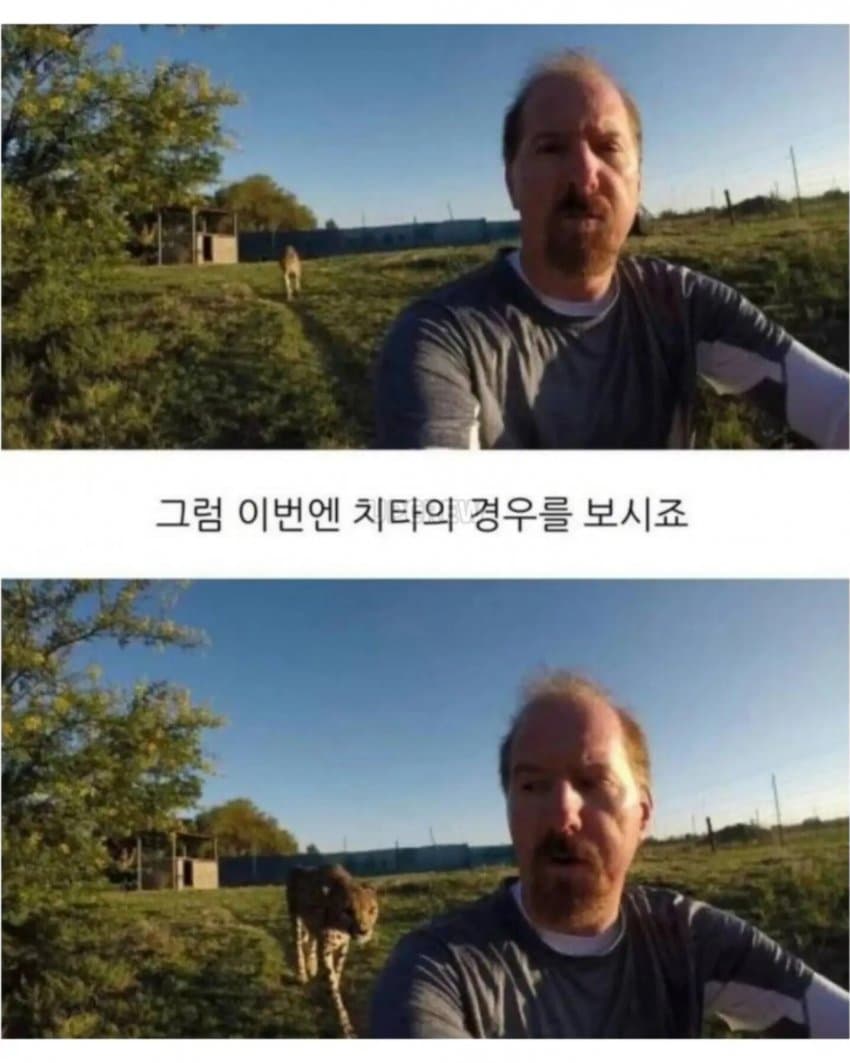 의외로 공식적으로 인간을 공격한적이 없는 맹수 (8)