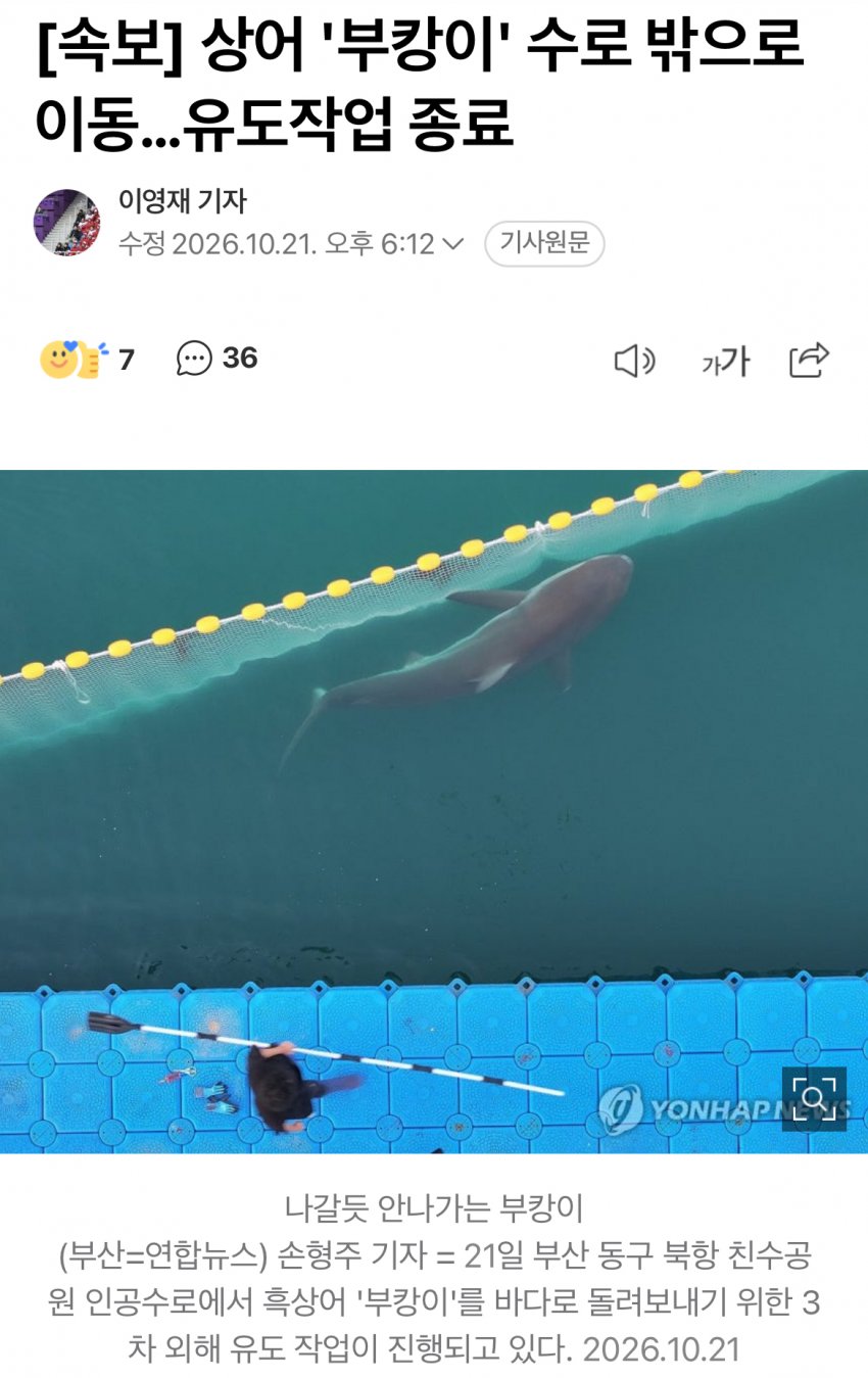 부캉부캉 부캉이 근황