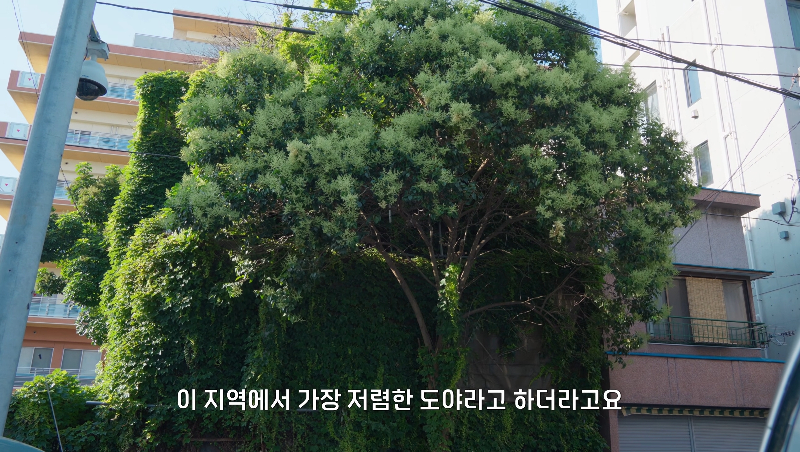 한국인에게 미안하다는 일본 할아버지