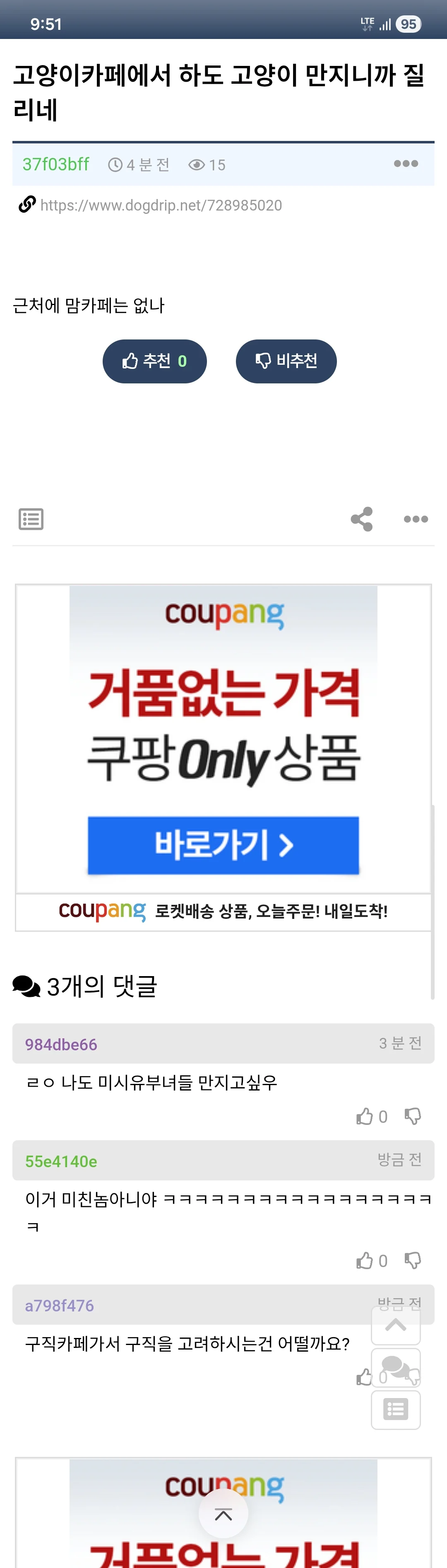 익게펌)고양이카페에서 하도 고양이 만지니까 질리네