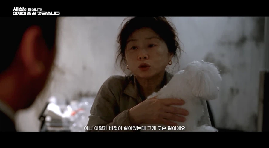 우리 애가 좀비들 사이에 갇혔어요 도와주세요!!! (42)