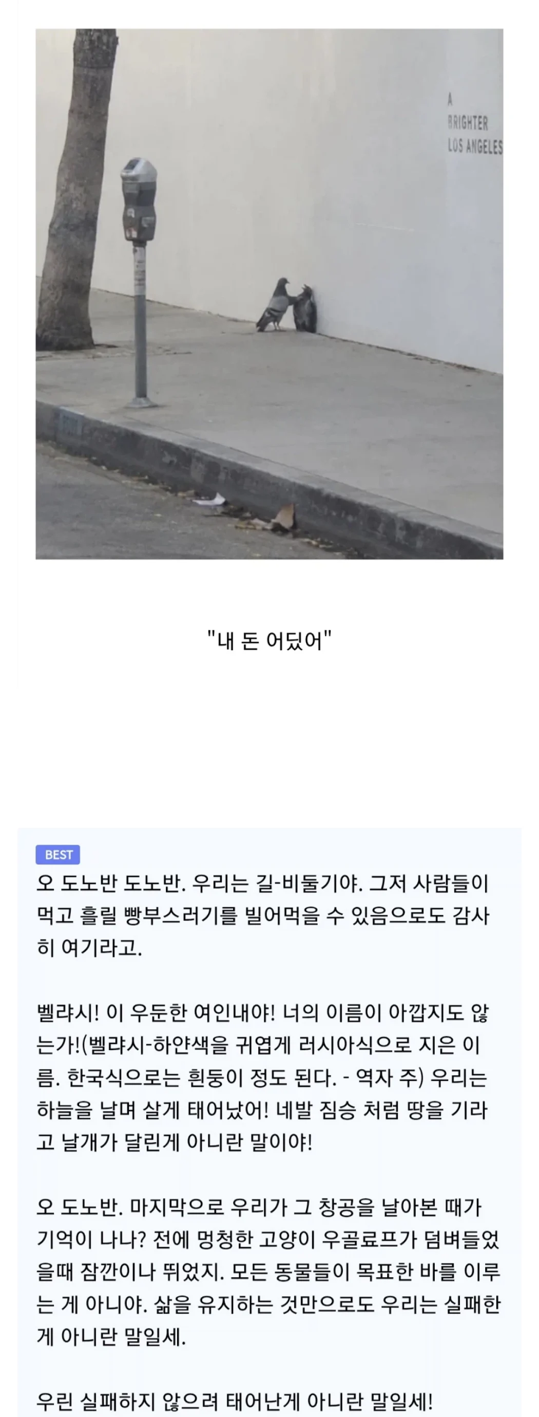 어제자 러시아 문학... (2)