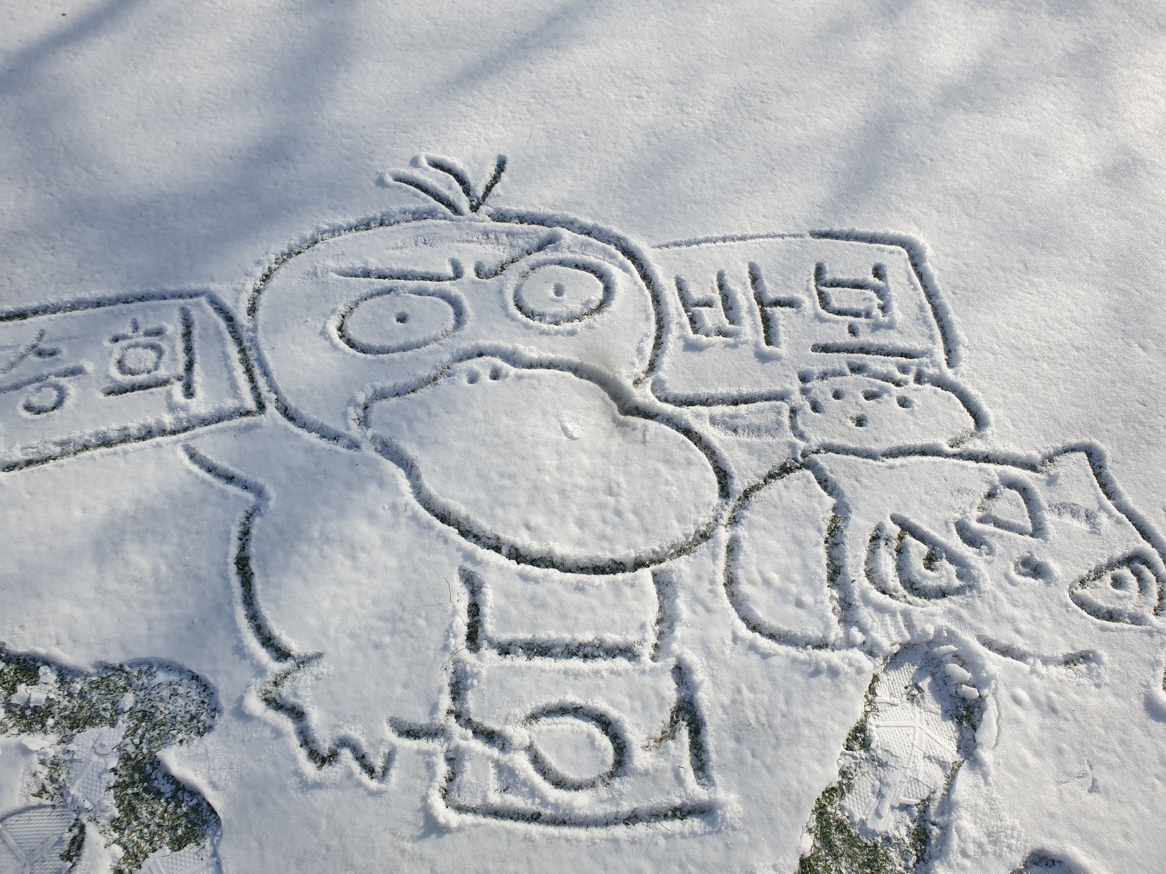 정신과 갔는데 씨발 미친새끼들