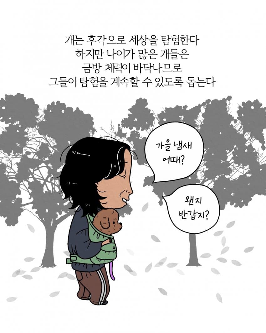 싱글벙글 개를 개답게 키우고 있습니다 (4)