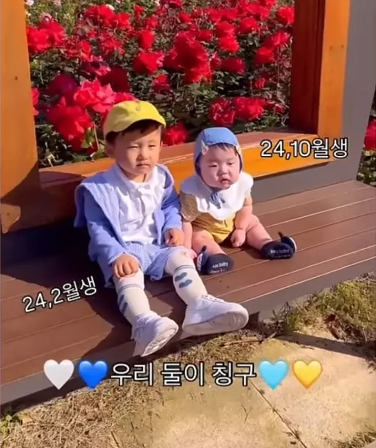 아기들을 개월수로 말하는 이유.j9g