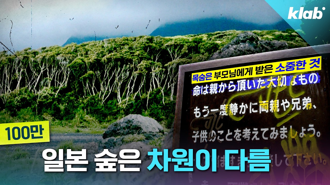 깜짝 .. 일본숲이 유독 무서운 이유 ㄹㅇ . (48)