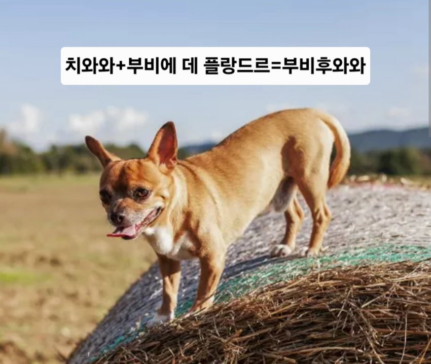 싱글벙글 래딧에 유행한다는 미친 짓 (26)
